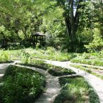 Gardens In Florida: Guide To Top Gardens & Arboretums In Florida   Florida Botanical Gardens Tourist Map