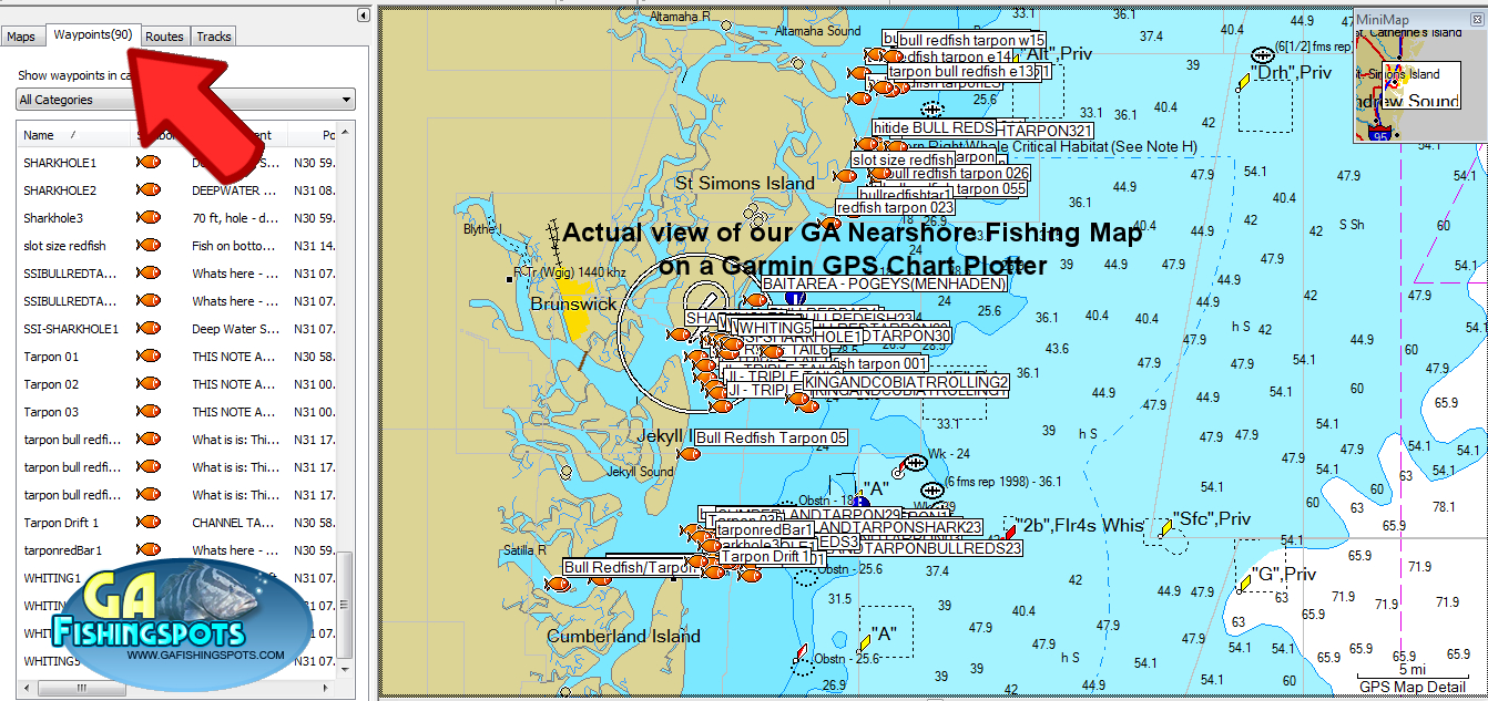 Garmin Saltwater Fishing Maps « Guide To Coastal Georgia Fishing - Florida Saltwater Fishing Maps