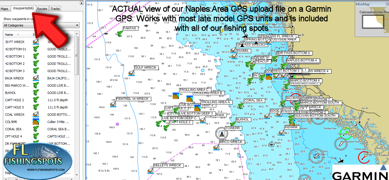 Garmin Saltwater Fishing Maps « Guide To Coastal Georgia Fishing - Top Spot Fishing Maps Florida