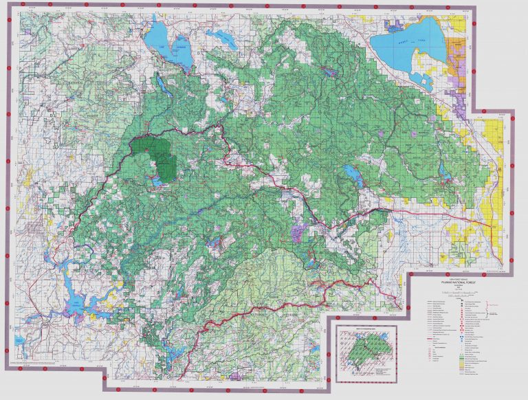 Gentry Off Road California Plumas National Forest Stag Point