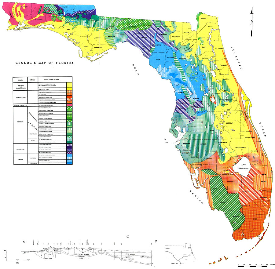 Geologic Map Of Florida, 1964 - Show Me A Map Of The Florida Keys