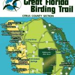 Great Florida Birding Trail   Citrus County Section | Birding In   Great Florida Birding Trail Map