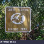 Great Florida Birding Trail Stock Photos & Great Florida Birding   Great Florida Birding Trail Map