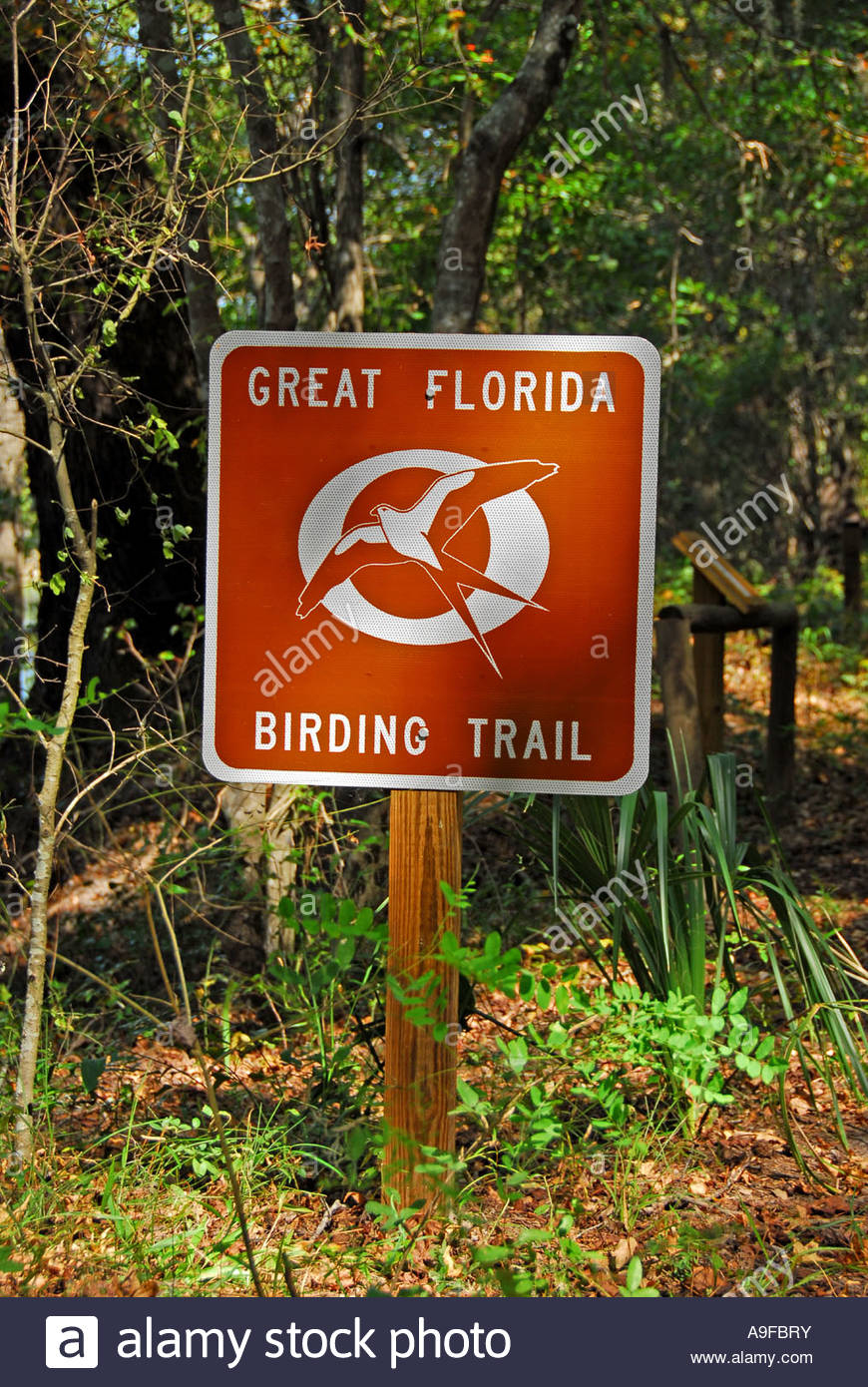 Great Florida Birding Trail Stock Photos &amp;amp; Great Florida Birding - Great Florida Birding Trail Map
