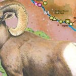 Great Texas Wildlife Trails   Wildlife   Texas Parks & Wildlife   Texas Birding Trail Maps