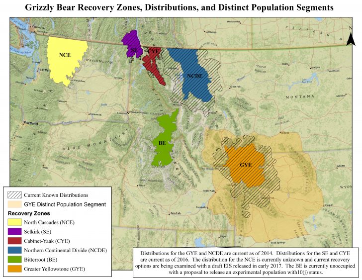 Grizzly Bear Bears In California Map Printable Maps
