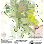 Grizzly Bears: Ultimate Omnivores Of The Greater Yellowstone   Bears In California Map