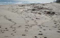 Highland Beach, Florida - Wikipedia - Highland Beach Florida Map