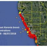 How To Check For Red Tide Before Going To The Beach   Clearwater Beach Map Florida