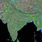 India Map And Satellite Image   Google Satellite Map Of Texas