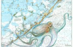 Keys Octopus - Florida Keys Nautical Map