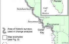 Location Map Of Florida Big Bend Marsh Coast On The Gulf Of Mexico - Gulf Of Mexico Map Florida