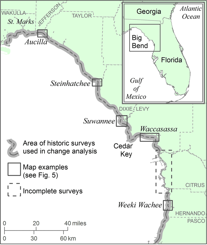 Location Map Of Florida Big Bend Marsh Coast On The Gulf Of Mexico - Gulf Of Mexico Map Florida