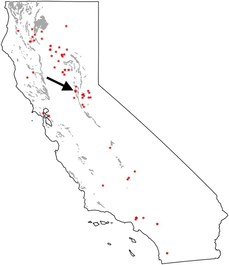 Locations Of A Thaliana Collection And Serpentine Soil Presence In California Soil Map 768x889 