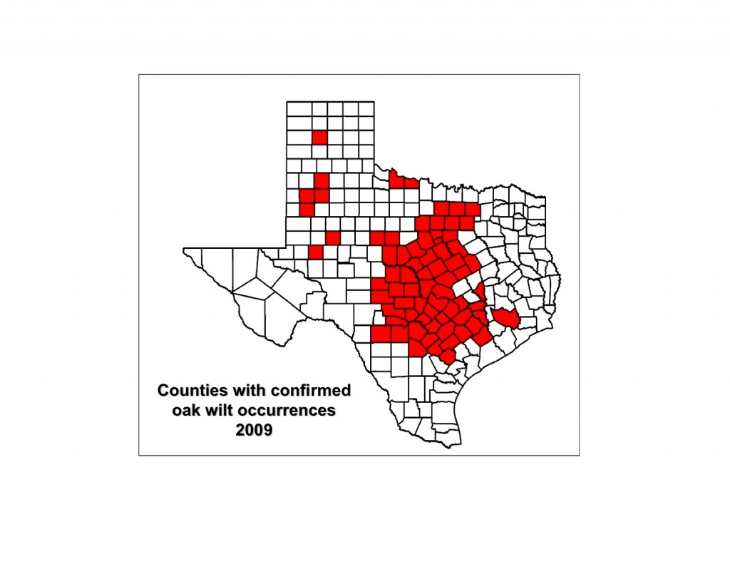Map Gallery - Oak Wilt Texas Map
