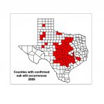 Map Gallery   Red Oak Texas Map