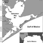 Map Of Galveston Bay (Texas, Usa) Showing The Locations Of The Six   Texas Galveston Map