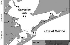 Map Of Galveston Bay (Texas, Usa) Showing The Locations Of The Six - Texas Galveston Map