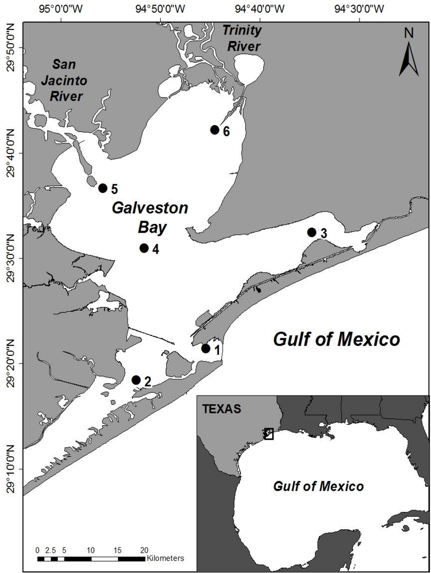 Map Of Galveston Bay (Texas, Usa) Showing The Locations Of The Six - Texas Galveston Map
