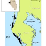 Map Of Study Area (Pinellas County Barrier Islands) | Download   Florida Gulf Islands Map