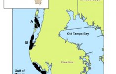 Map Of Study Area (Pinellas County Barrier Islands) | Download - Florida Gulf Islands Map