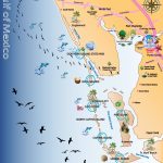 Map Out Your Next Vacation In The Florida Gulf! | Gulf Island Tours   Florida Vacation Destinations Map