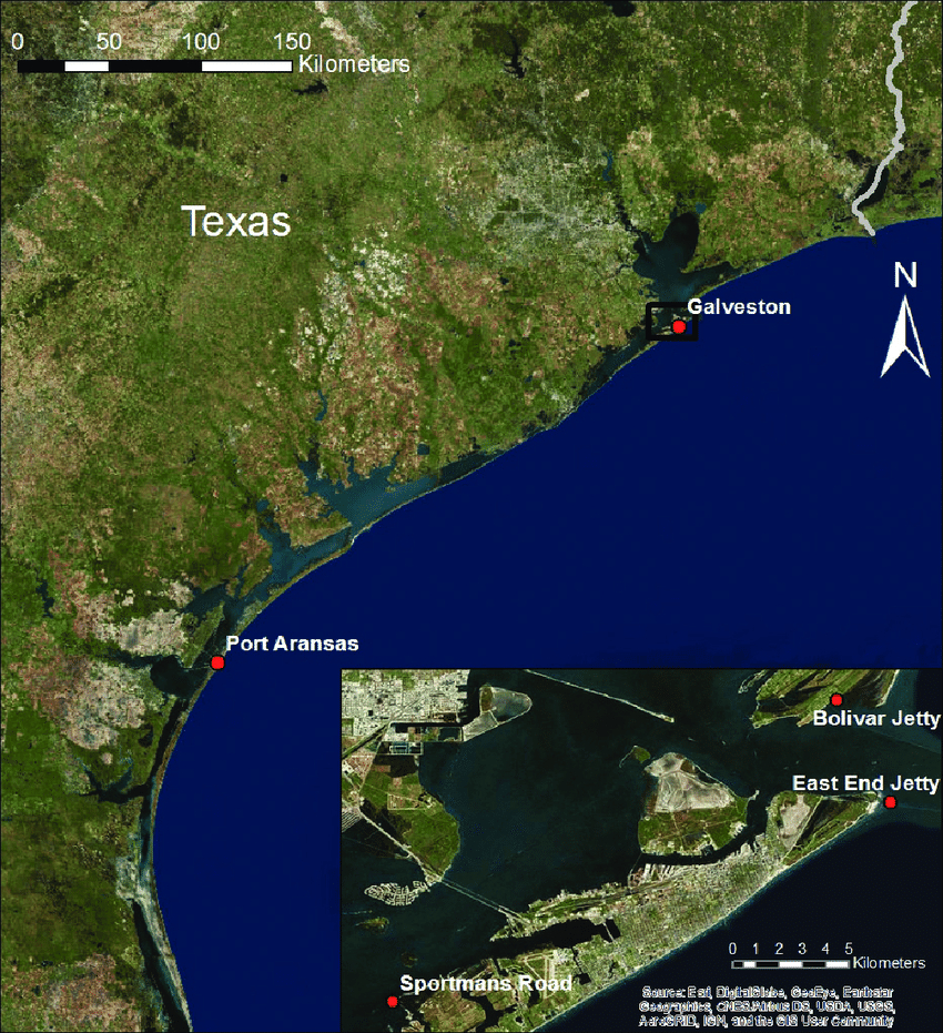 Map Showing The Texas Coast With Port Aransas And Galveston Marked Map Of Port Aransas Texas Area 