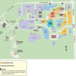 Mayo Clinic Florida Campus   Maplets   Mayo Clinic Florida Map