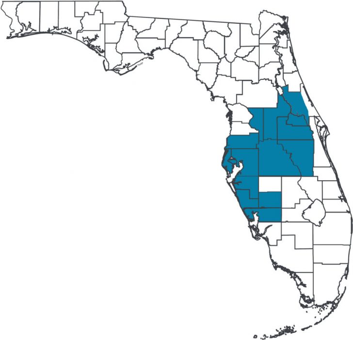 Mls Listings Florida Map