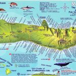 Molokai, Hawaiian Islands, Reef Creatures Fish Id Cardfrankos   Molokai Map Printable