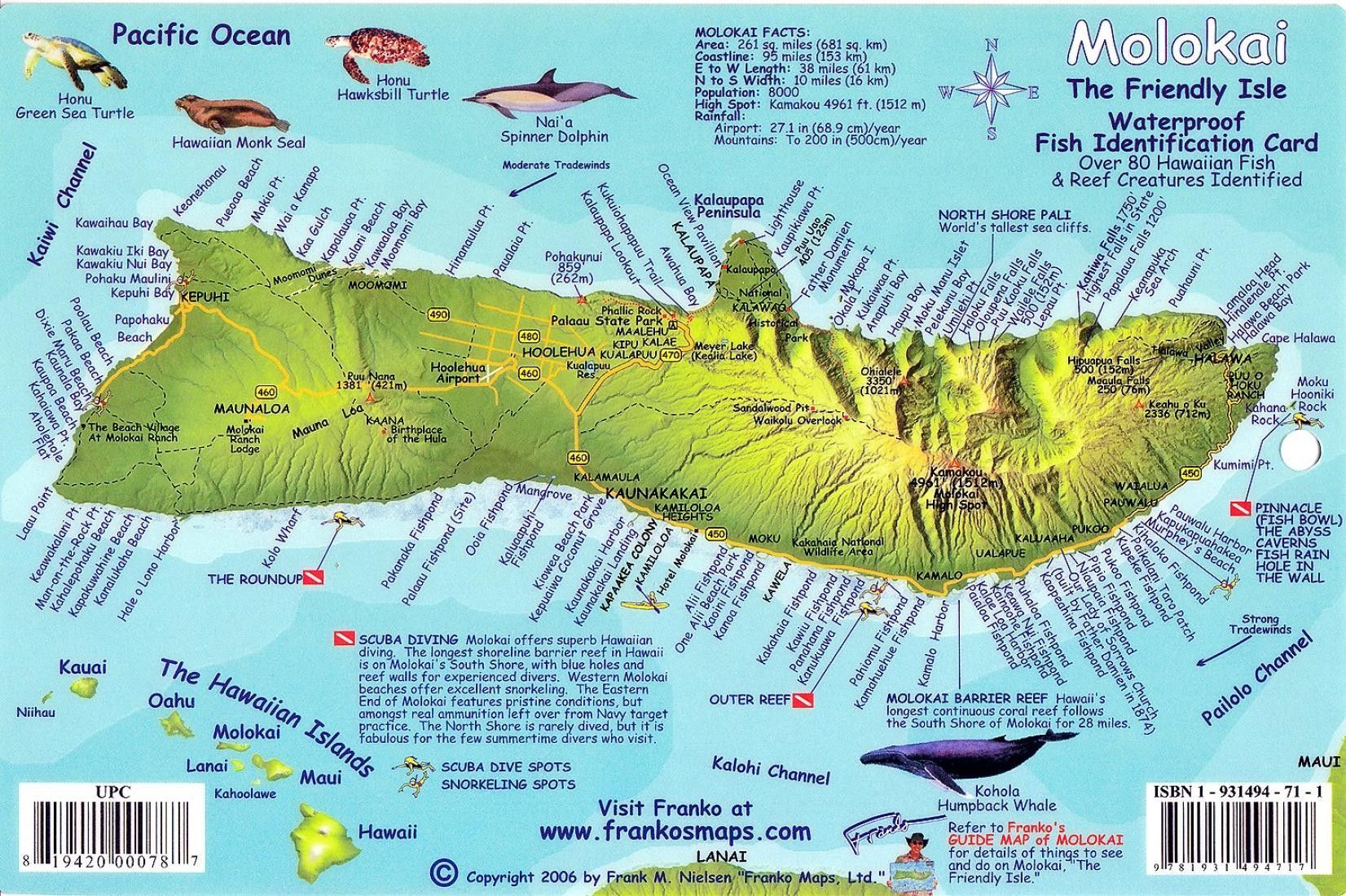Molokai, Hawaiian Islands, Reef Creatures Fish Id Cardfrankos - Molokai Map Printable