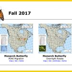 Monarch Butterfly Migration East & West   Monarch Butterfly Usa   Monarch Butterfly Migration Map California