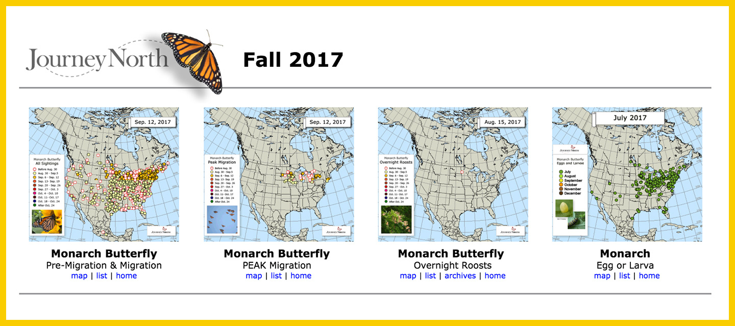 Monarch Butterfly Migration East &amp;amp; West - Monarch Butterfly Usa - Monarch Butterfly Migration Map California