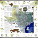 My Favorite Map: The Natural Heritage Map Of Texas, 1986   Texas Land Map