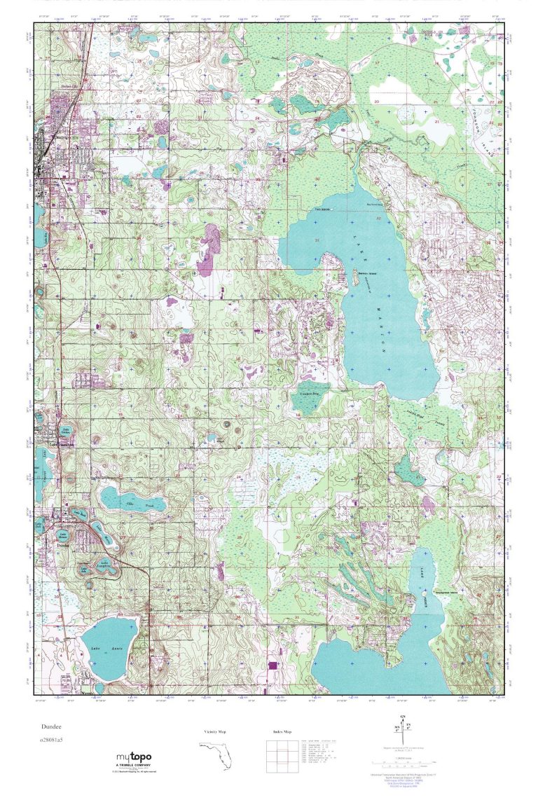 mytopo-dundee-florida-usgs-quad-topo-map-dundee-florida-map