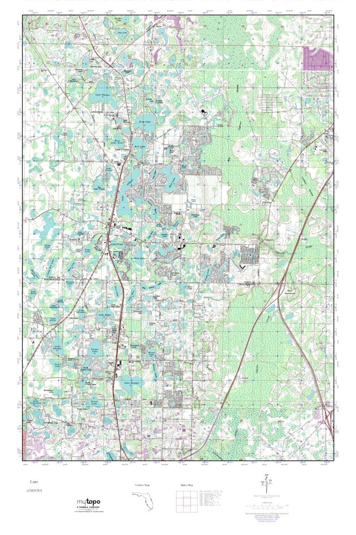 Mytopo Lutz, Florida Usgs Quad Topo Map Lutz Florida Map Printable Maps