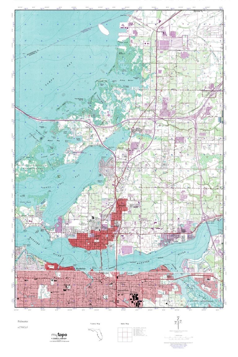 Mytopo Palmetto, Florida Usgs Quad Topo Map - Palmetto Florida Map ...