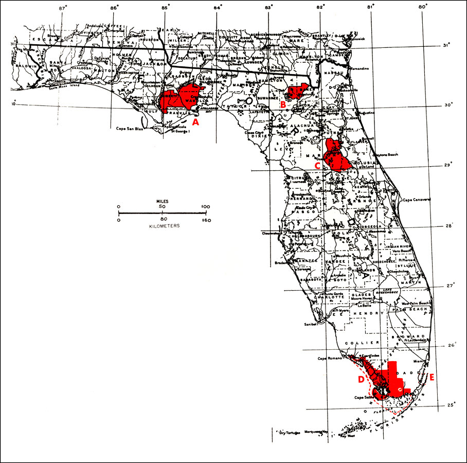 National Forests, Everglades National Park, And Biscayne National - National Forests In Florida Map