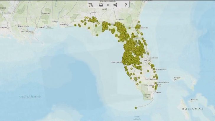 Florida Sinkhole Map