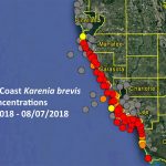 No Red Tide On Pinellas County Beaches As Of Aug. 8 | Pinellas   Clearwater Beach Florida On A Map