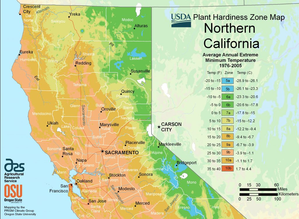 North California Plant Hardiness Zone Map E280a2 Mapsof California Zone Map 1024x751 