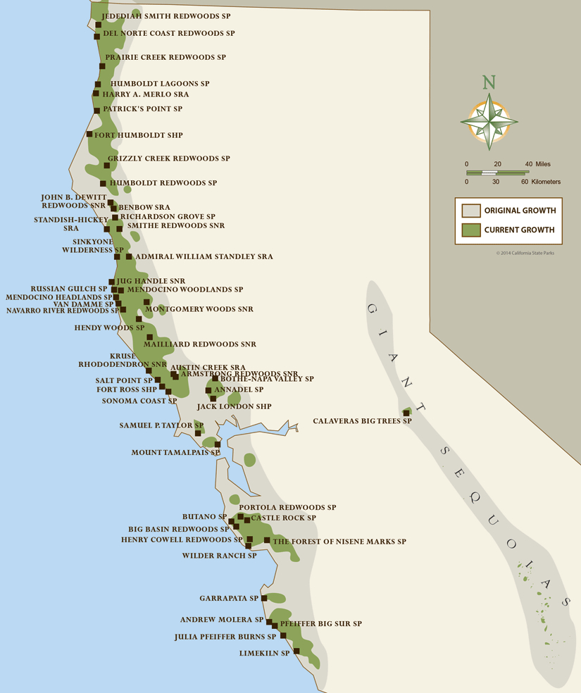 Map Of California Springs California Coast Campgrounds Map Map Of