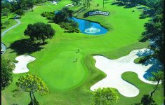 Palm Harbor Florida - Things To Do &amp; Attractions In Palm Harbor Fl - Innisbrook Florida Map