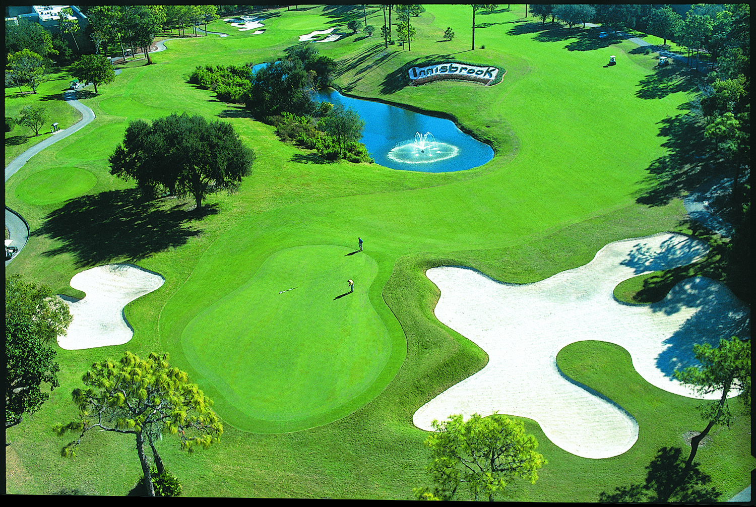 Palm Harbor Florida - Things To Do &amp;amp; Attractions In Palm Harbor Fl - Innisbrook Florida Map