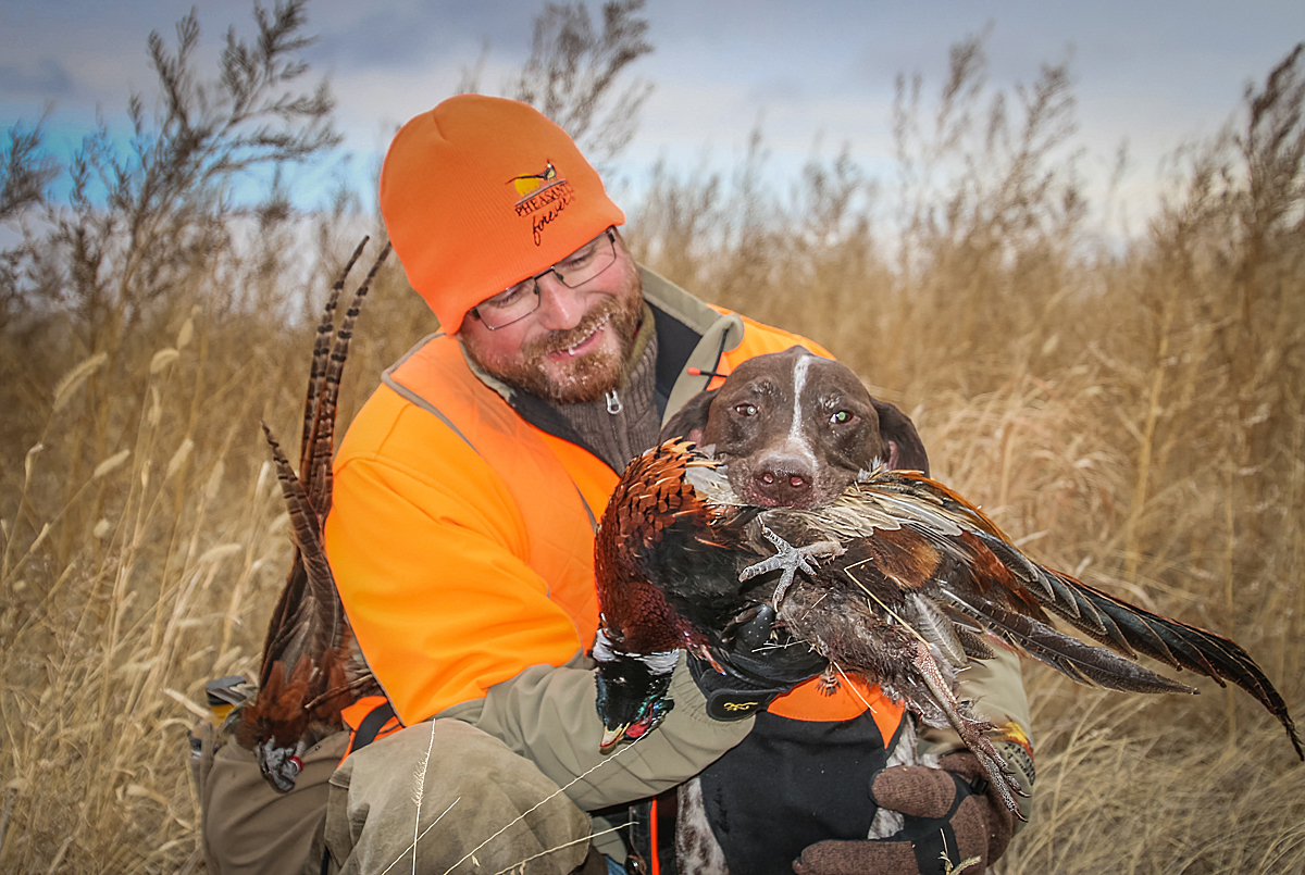 Pheasants Forever&amp;#039;s 2017 Pheasant Hunting Forecast | Small Game - Texas Pheasant Population Map