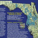 Pinmargaret Hampton On Sinkholes | Florida, Tampa Bay Area   Sinkhole Map Hernando County Florida