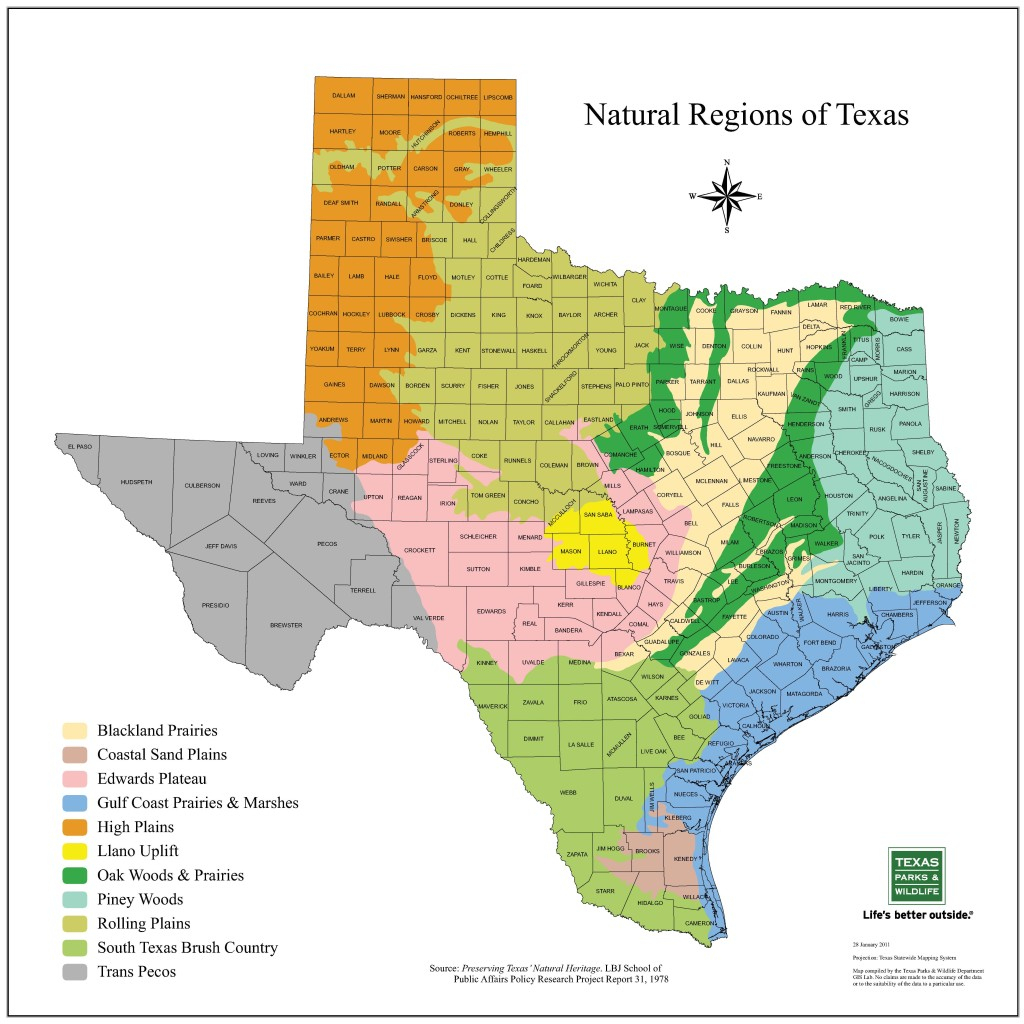 Plains Of Texas Map | Business Ideas 2013 - Map Of South Texas Coast