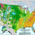 Plant And Soil Sciences Elibrary:: Print Lesson   Florida Soil Types Map