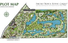 Plant Database Of Living Plants At Fairchild Tropical Garden - Florida Botanical Gardens Tourist Map