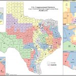 Political Participation: How Do We Choose Our Representatives   Texas Us Congressional District Map